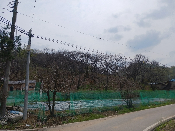 기호(1) 북서측 전경