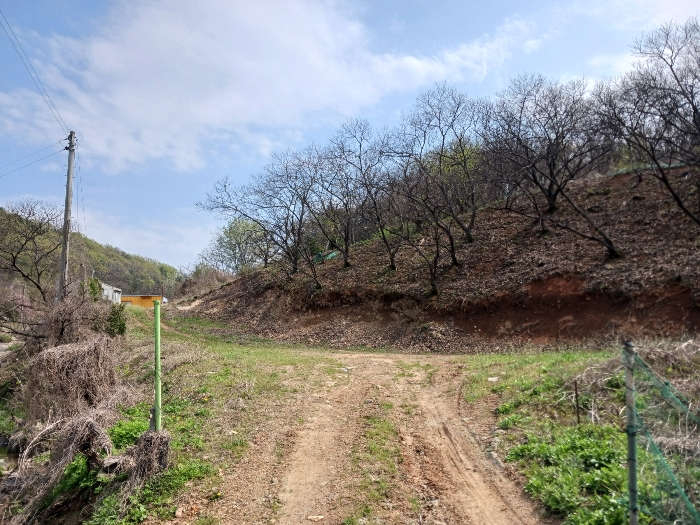 기호(1) 동측 부분 및 인접 도로
