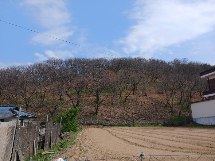 기호(1) 서측 전경