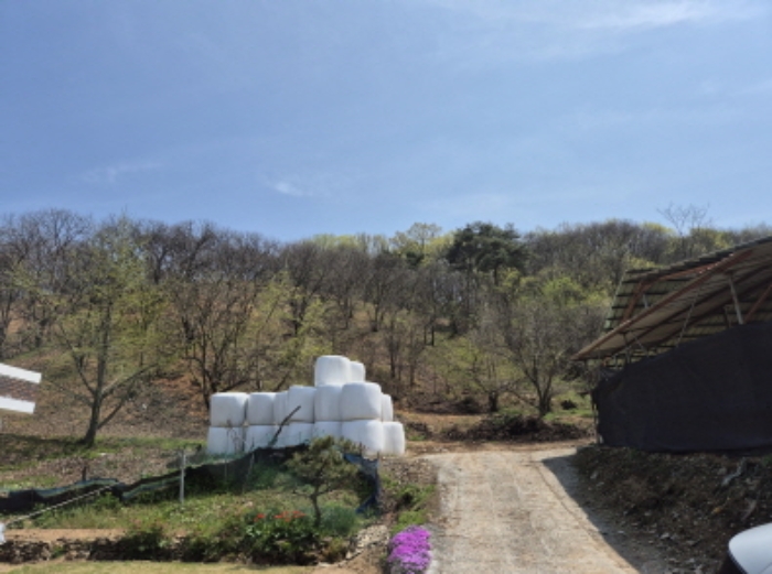 원거리 전경 (1)