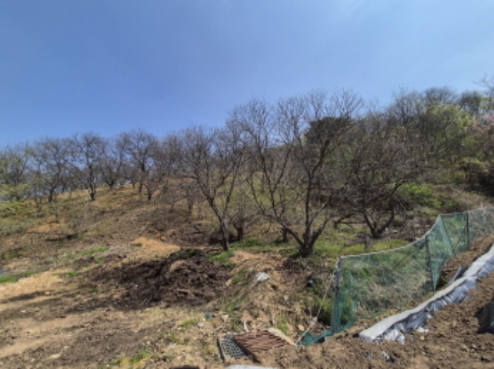 목록1,2 전경 (1)