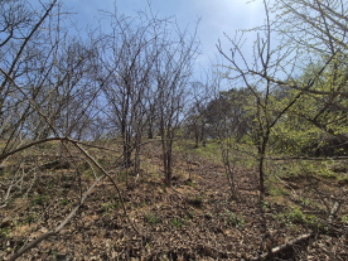 목록1,2 전경 (2)