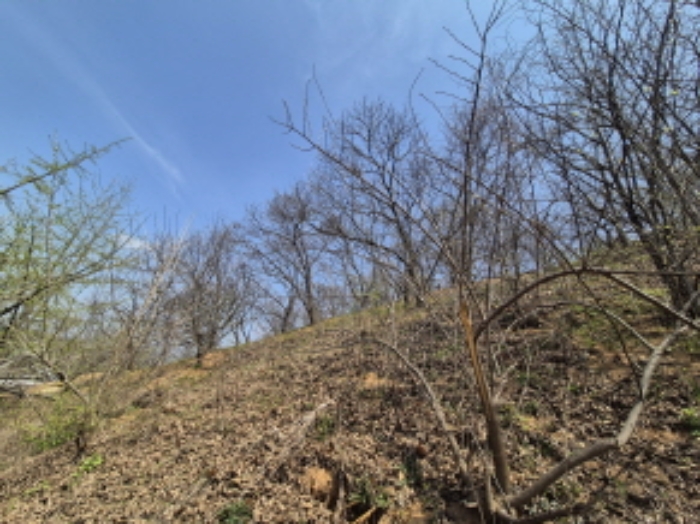 목록1,2 전경 (3)