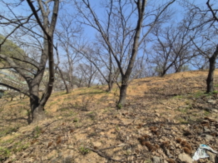 목록1,2 전경 (4)