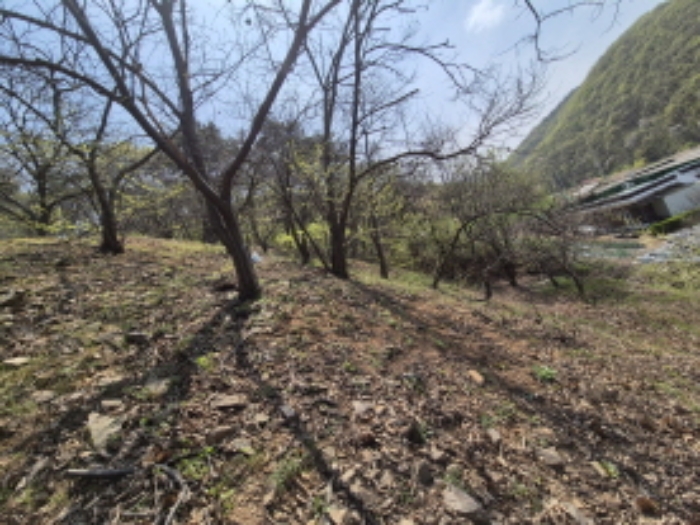 목록1,2 전경 (5)