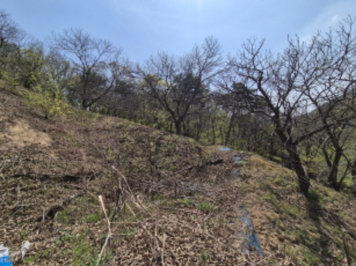 목록1,2 전경 (6)