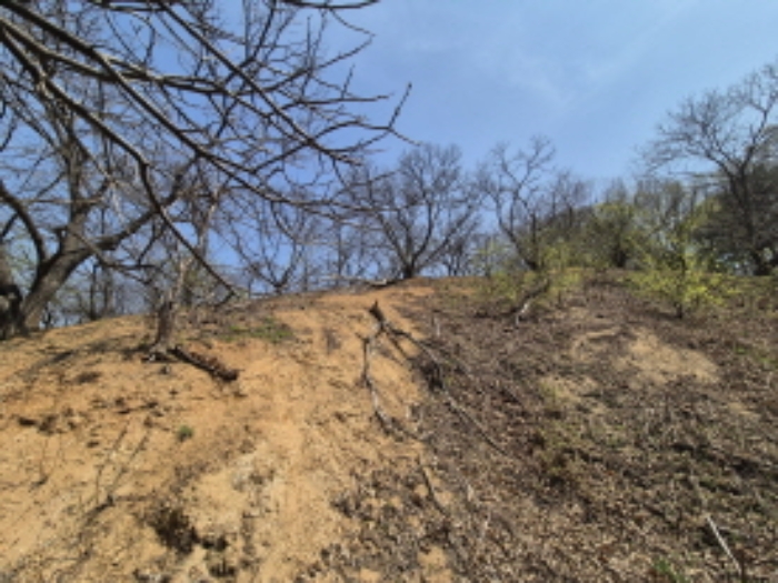 목록1,2 전경 (7)