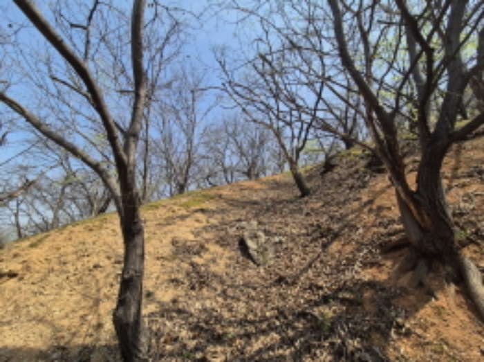 목록1,2 전경 (8)