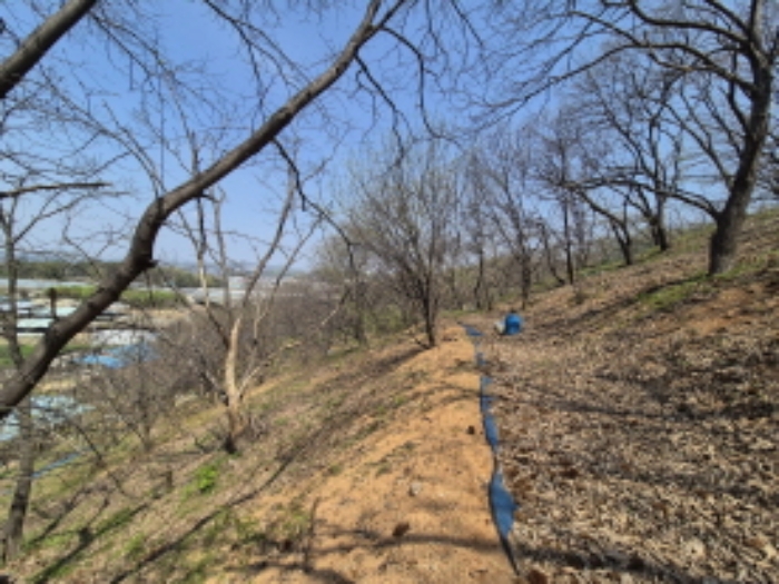 목록1,2 전경 (9)