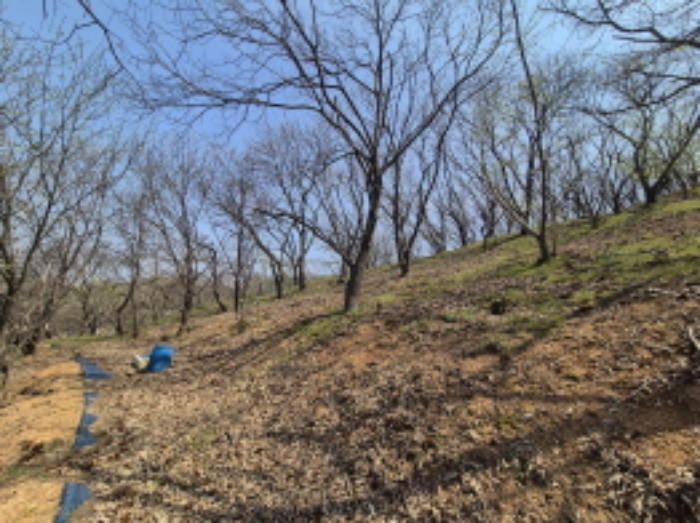 목록1,2 전경 (10)