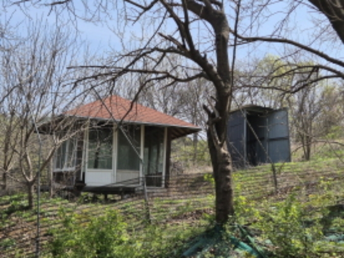 목록1 제시외 원두막