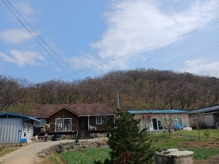 기호(1) 북서측 전경