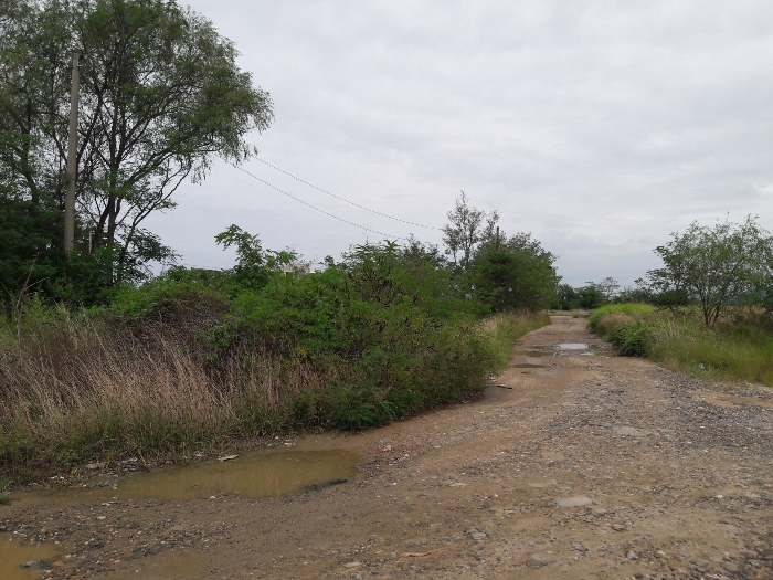 본건 남서측부분 및 내부 도로 촬영