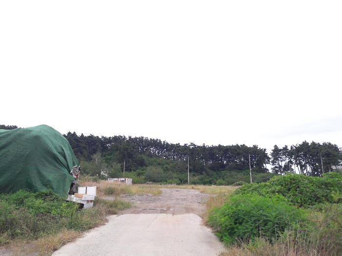 본건 북동측부분 촬영