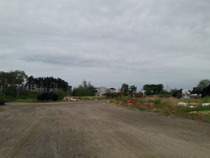 본건 남측 전경 촬영