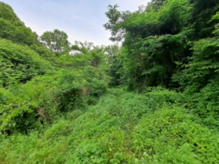 목록 1 북쪽 중간부분