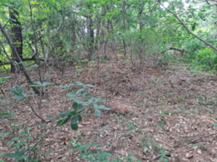 목록 1 서쪽 중간부분 남쪽 방향