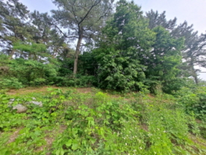 목록 1,4 서쪽 중간부분