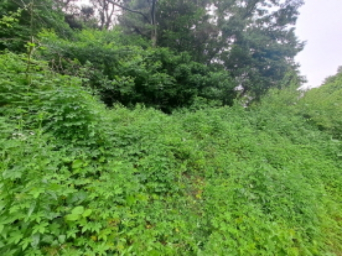 목록 1 동쪽 중간부분