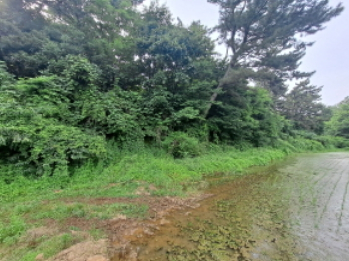 목록 1 동남쪽 경계부분