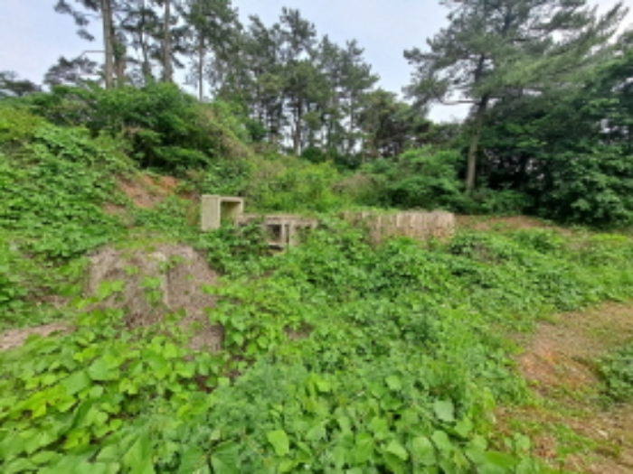 목록 4 동쪽 방향