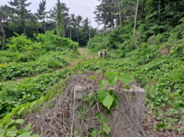 목록 2 북쪽방향