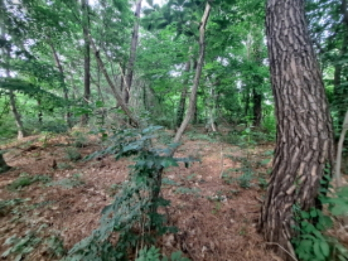 목록 1 서남쪽부분