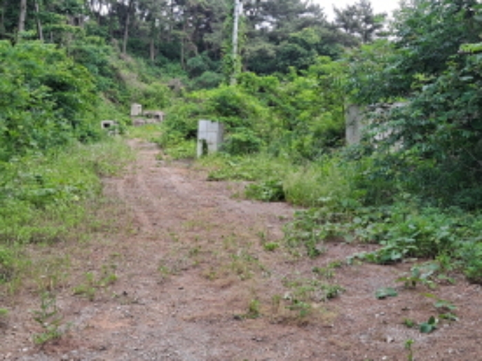 목록 2 중간부분 남쪽 방향