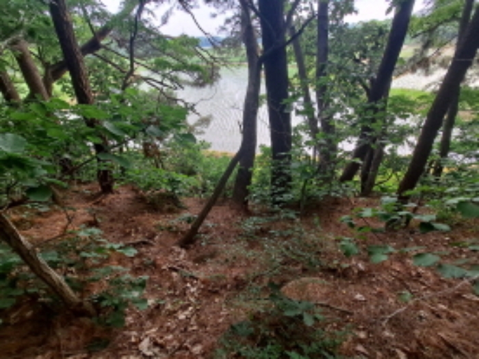 목록 1 남쪽 경계부분