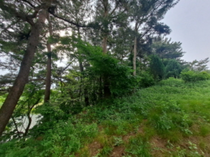 목록 1 남서쪽 부분