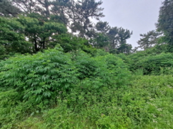 목록 1 남쪽부분