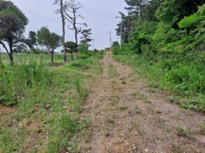 목록 3 북쪽방향