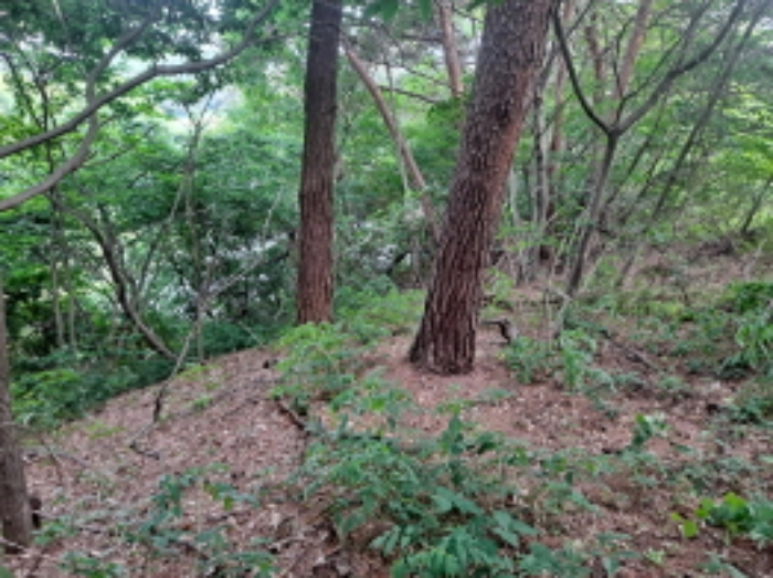 목록 1 서쪽 중간부분