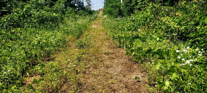 본건 기호(2)토지 (현황 도로)