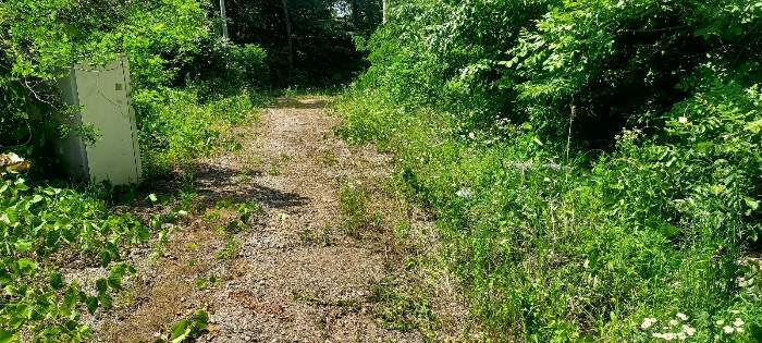 기호(4)토지 (현황 도로)