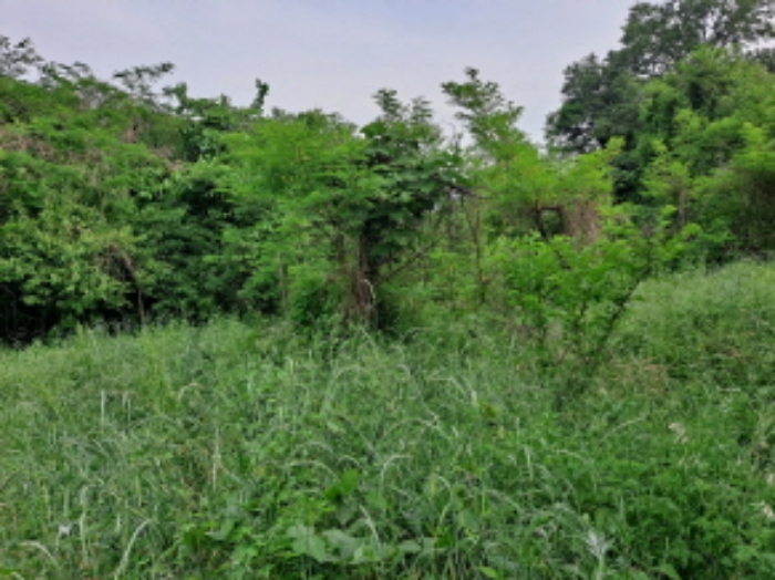 목록 1 서북쪽부분