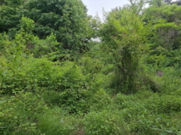 목록 1 동쪽 중간부분