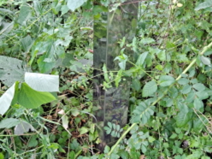 목록 1 서북쪽 경계부분 주변토지 묘지 표시석