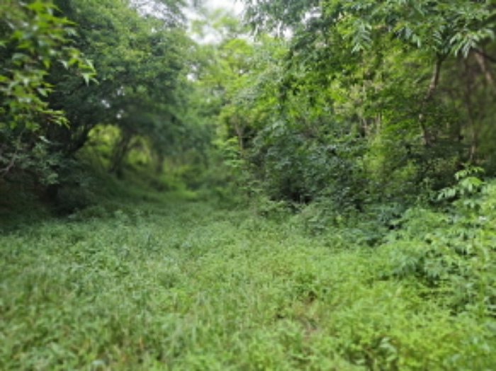 목록 1 북쪽부분