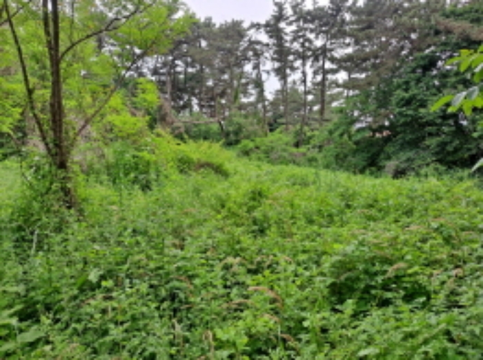 목록 1 서북쪽부분