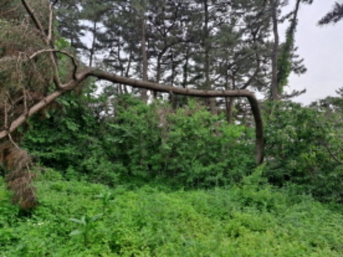 목록 1 서쪽 중간부분