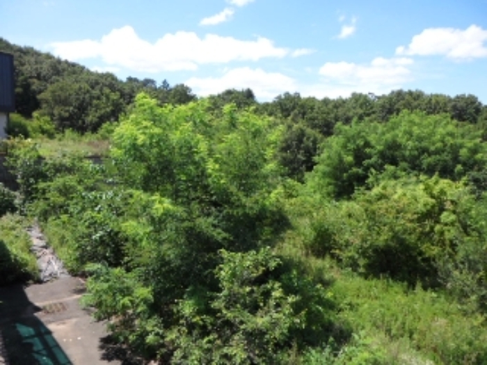 이하 노곡리 829-6