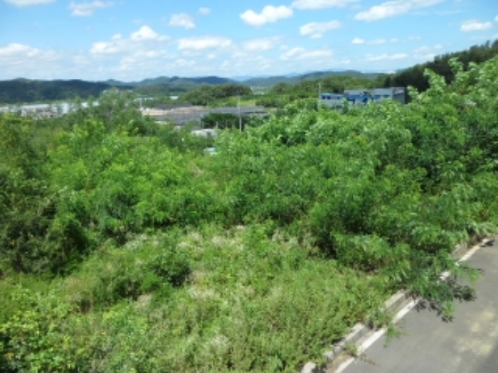 이하 노곡리 829-17