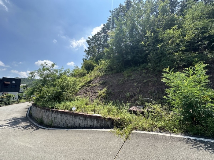 일련번호 2) 전경