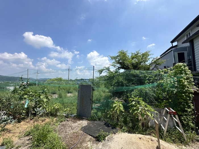 일련번호 3) 전경