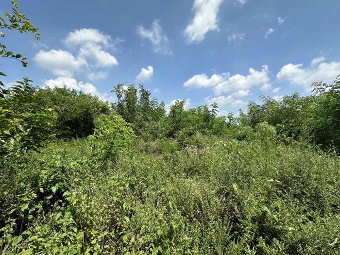 일련번호 6) 전경