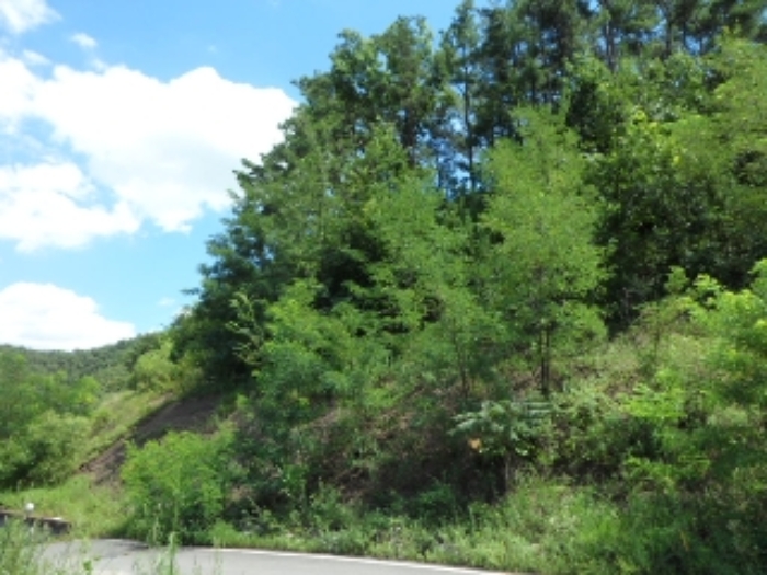 이하 노곡리 829-20