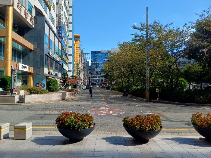 남서측 도로 및