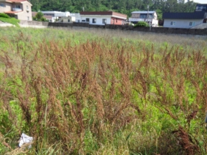 소재지1.(하귀1리 614) 및 소재지3.(하귀1리 615) 전경