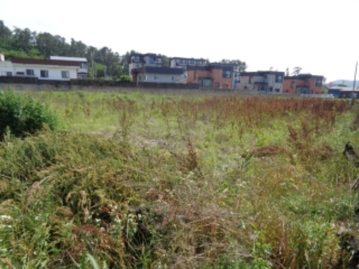 소재지2.(하귀1리 615) 전경